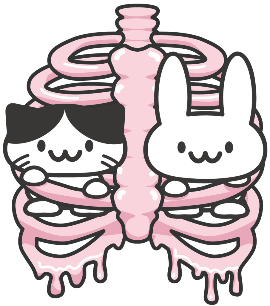 ほねうさぎねこ